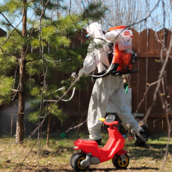 Обработка участка от клещей в Калининграде?